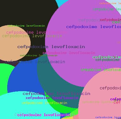 Cefpodoxime levofloxacin